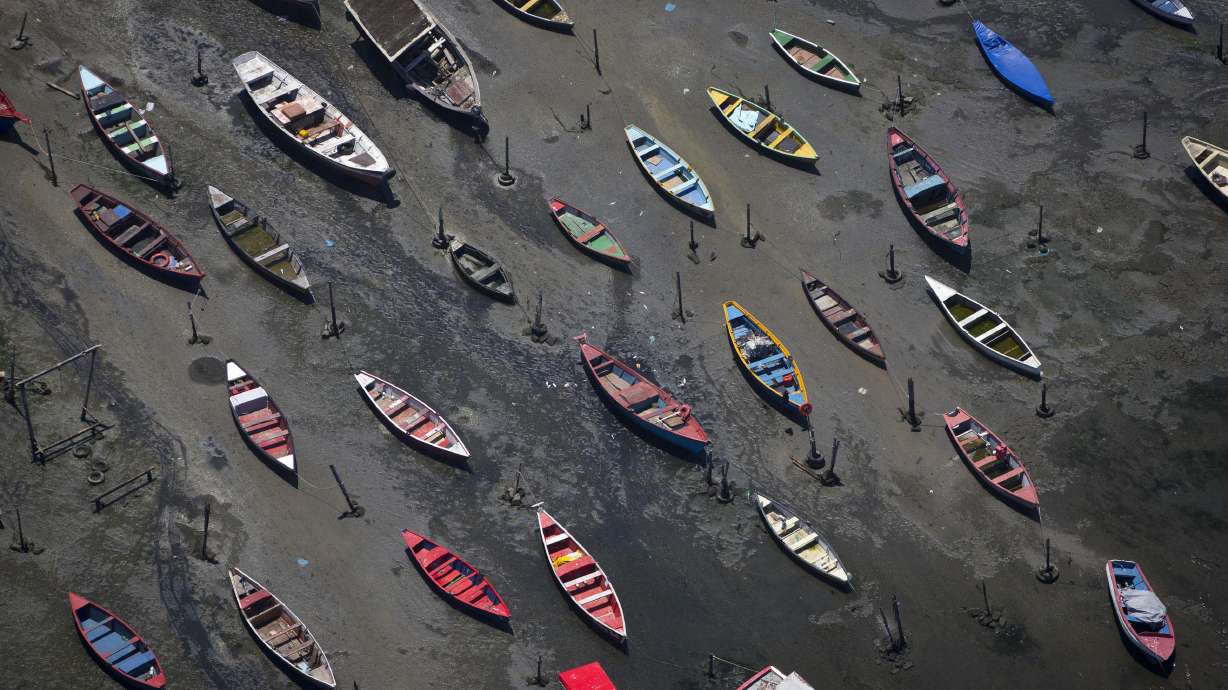 Rio organizers create 'super bacteria' task force