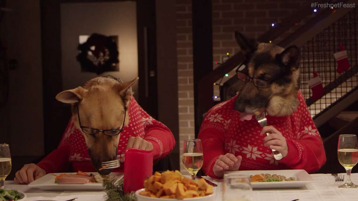 "Twin" German shepherds gobble up their Freshpet holiday feast in a video made by ShareAbility with pets from the Humane Society of Utah.