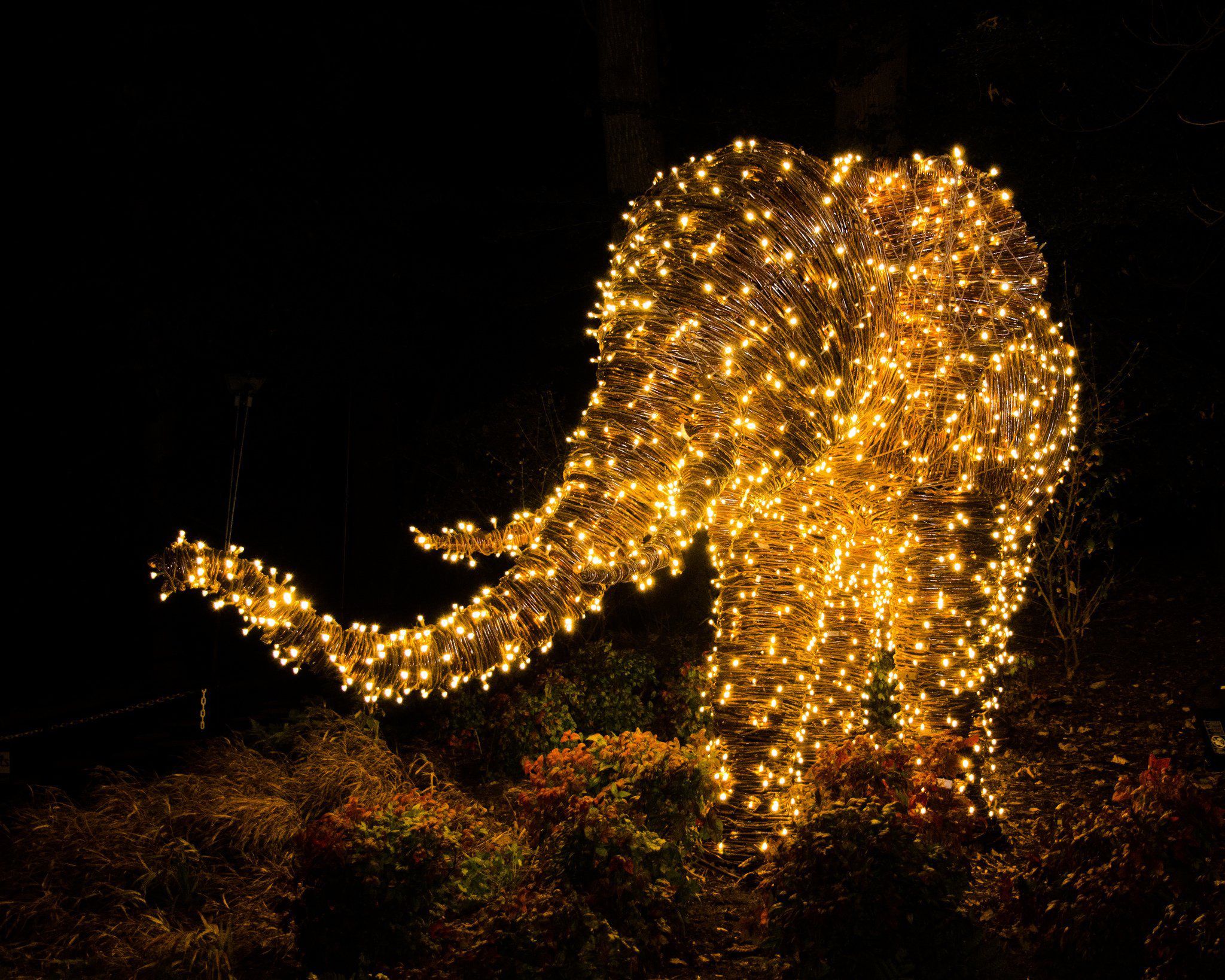 In Washington, D.C., Zoolights turns Smithsonian's National Zoo into a 500,000-LED-light winter wonderland.
Photo: Smithsonian's National Zoo