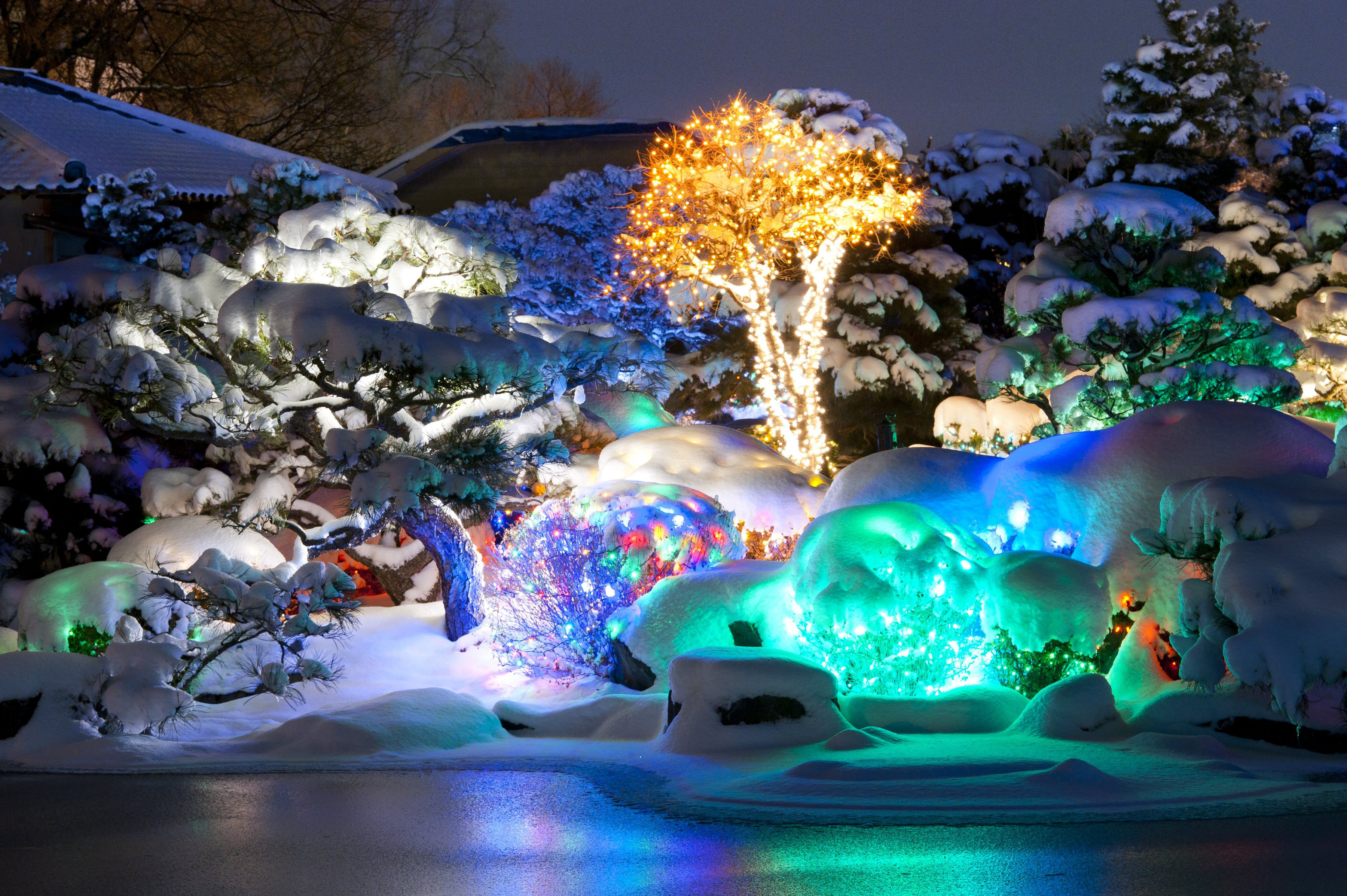 Walking through Denver Botanic Gardens, visitors see thousands of lights on trees and plants. A pair of Holospex turn the lights into 3D candy canes, snowflakes and other shapes. Photo: Denver Botanic Gardens
