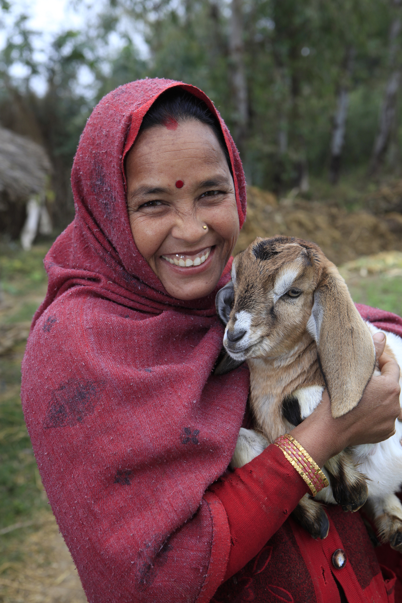 Sitapur Village, Bardiya District, Nepal
Vishnu Pariyar (40) tends to one of her goats on January 23, 2013 in Sitapur Village, Nepal. Photo: Heifer International