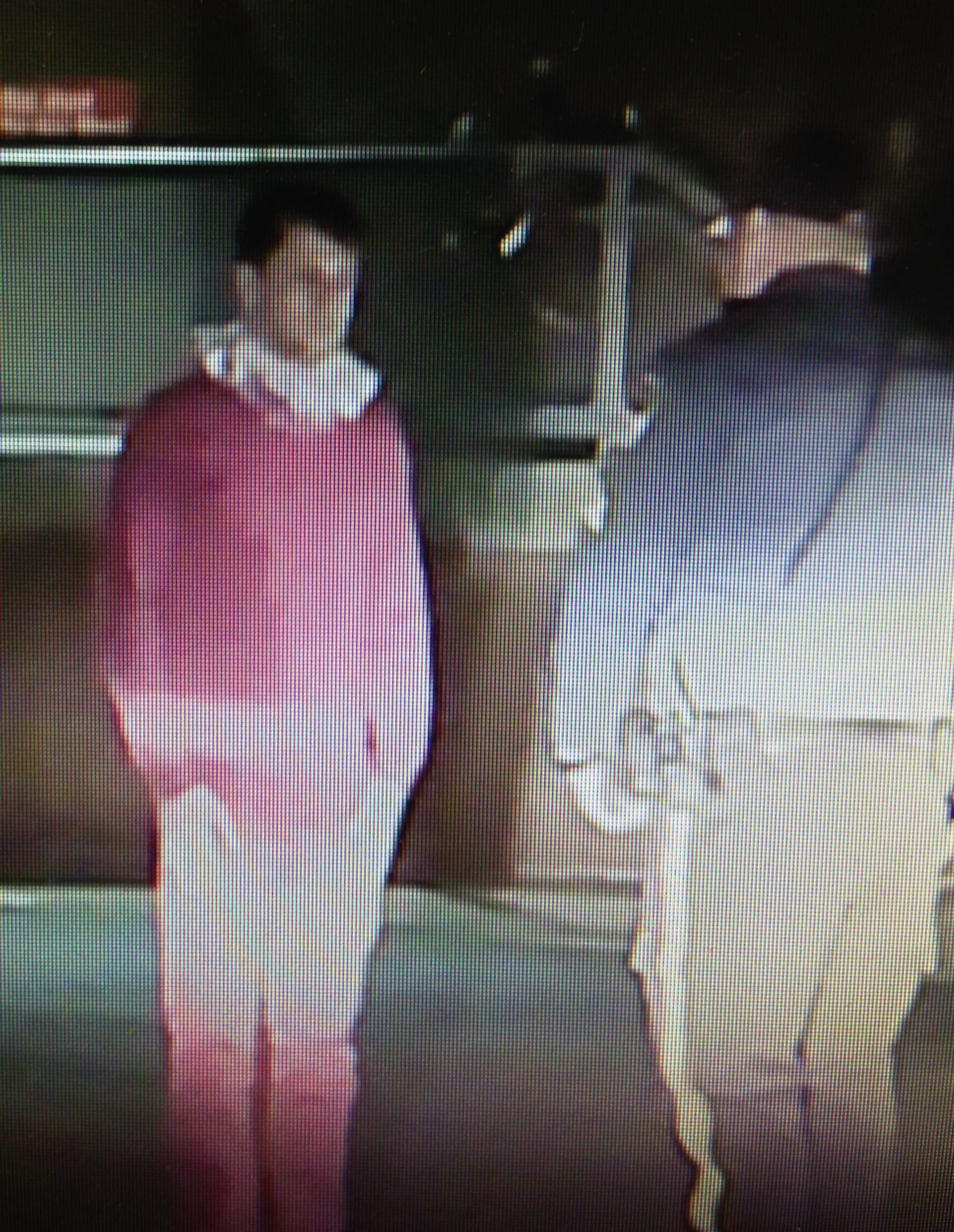 Police: Man in elf costume charged with DWI