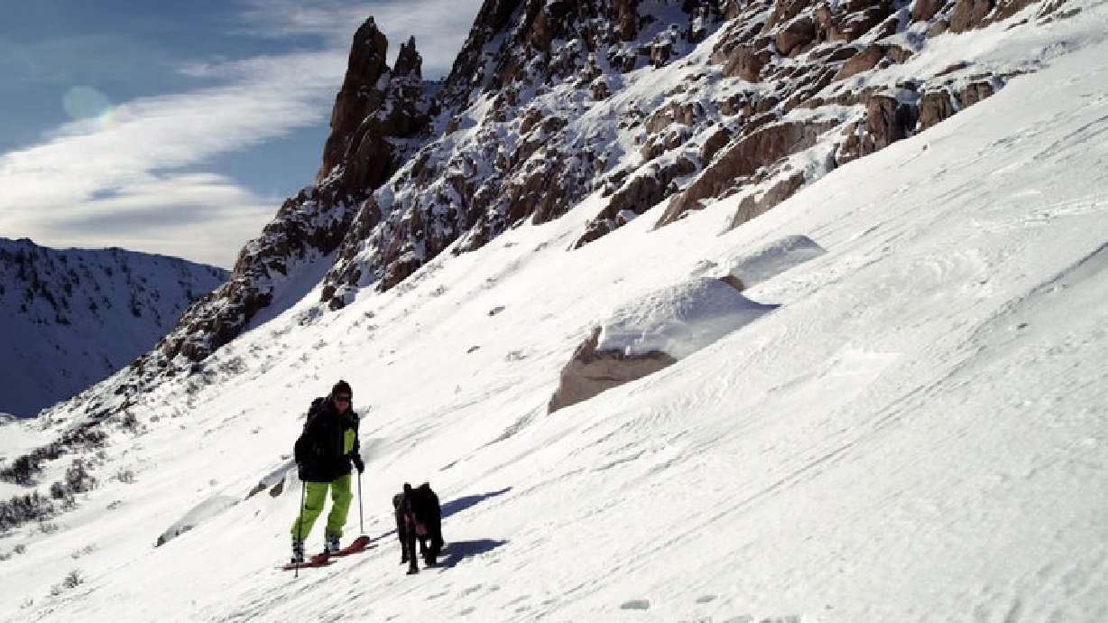 Have You Seen This? Dog leads man on skiing adventure