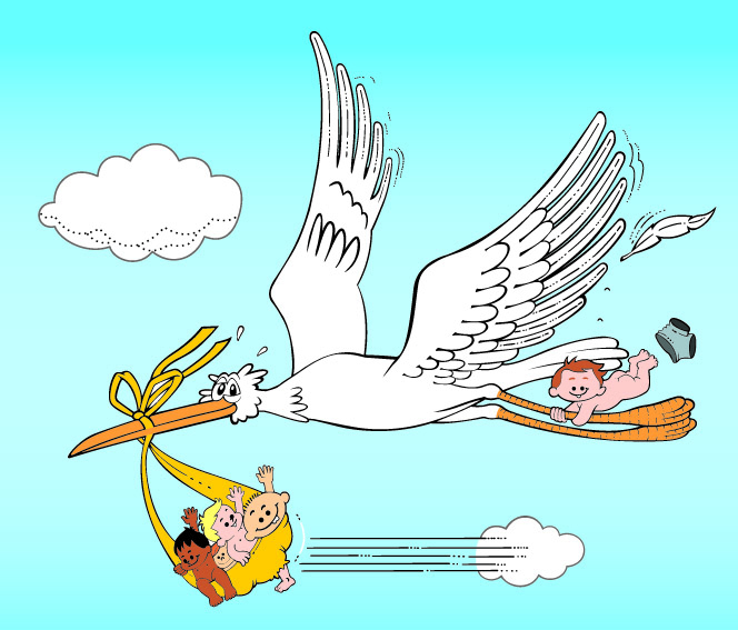 2014 fue un año ocupado para la cigüeña