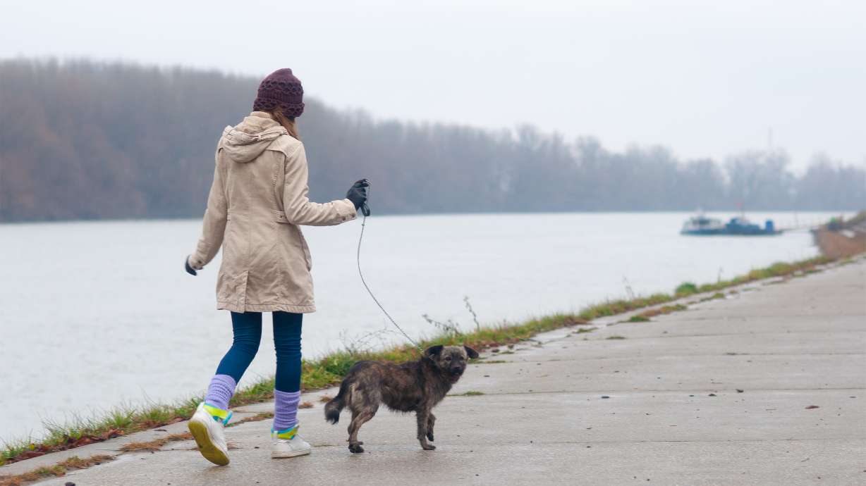 Formas creativas en que los niños pueden ganar dinero