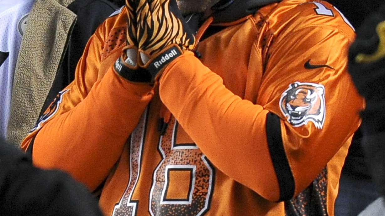 Wild-card Bengals head into playoffs on a downer