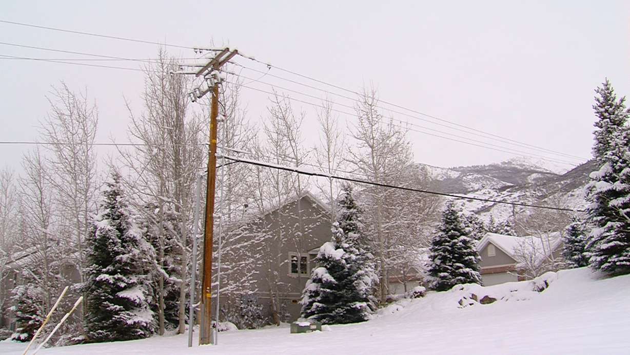 Photo Credit: Winston Armani