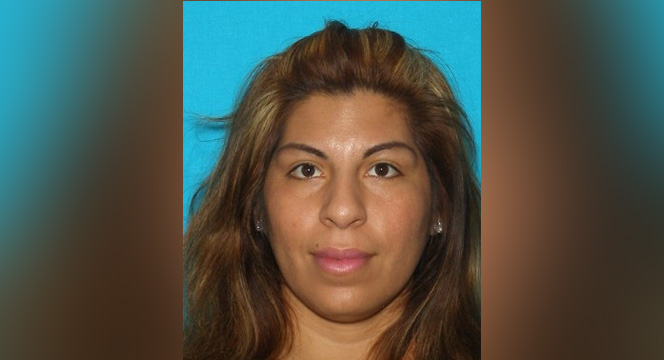 Attorney: Woman accused of posing as lawyer is dedicated mom