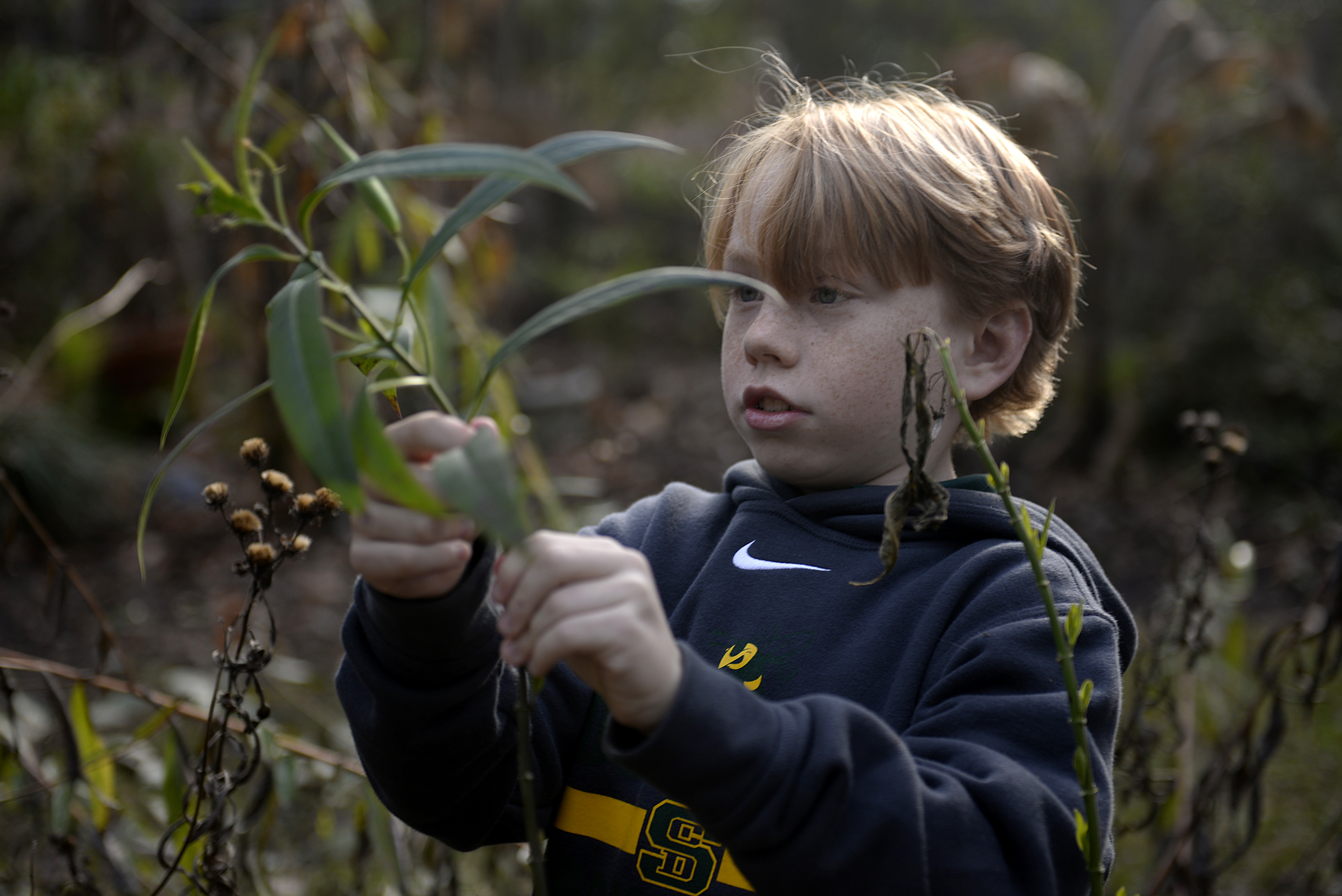 Georgia students look for monarch butterflies, find science