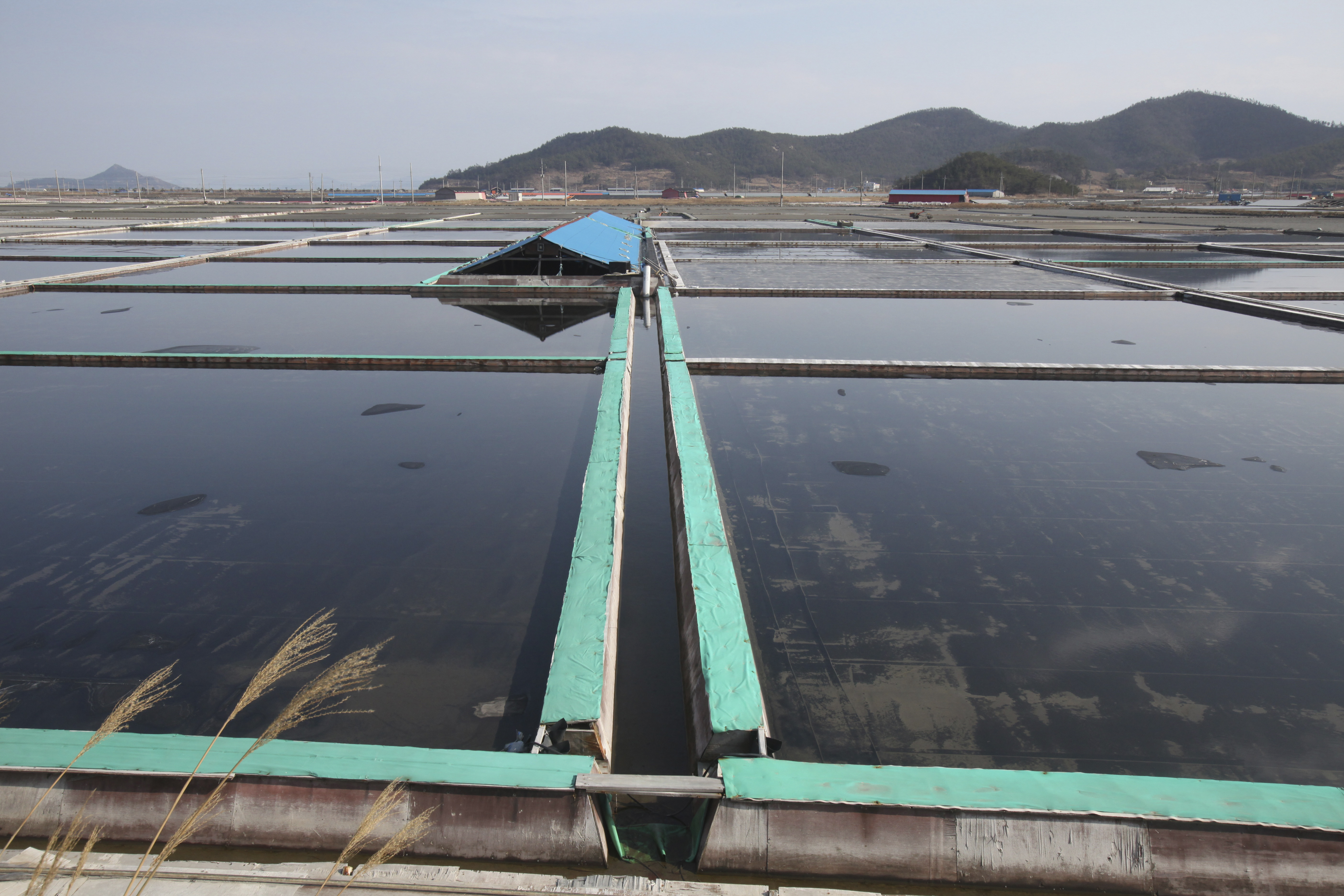 Slaves freed from SKorean salt farms face misery in shelters