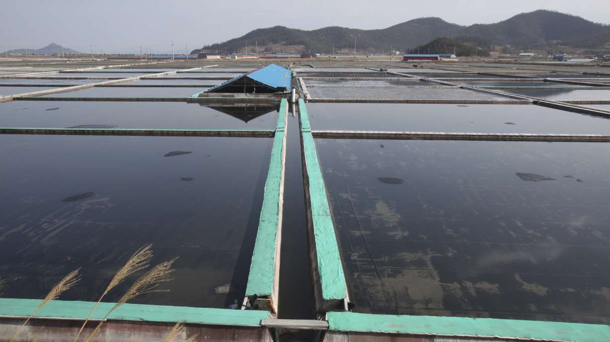 Slaves freed from SKorean salt farms face misery in shelters