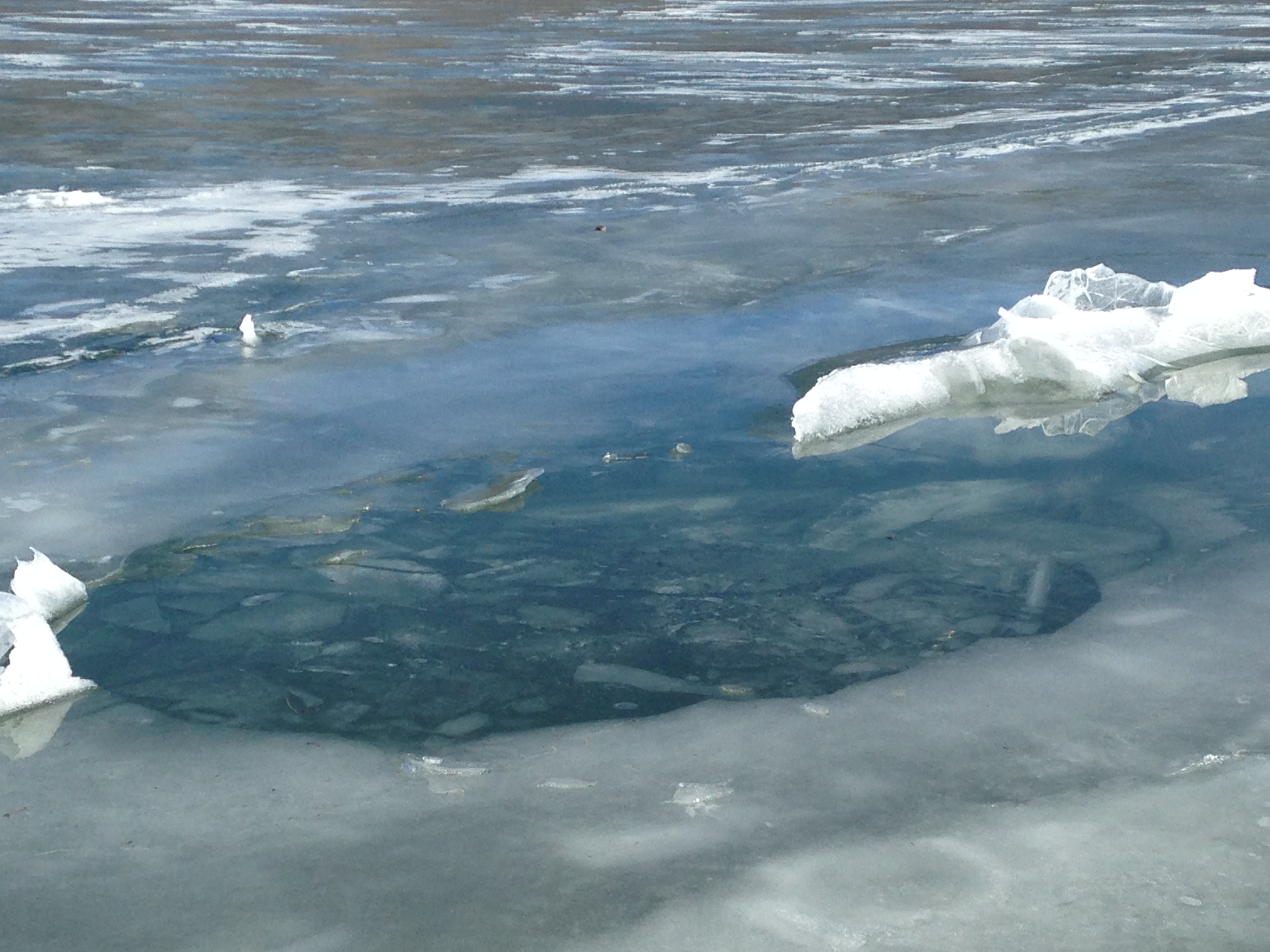 The hole created when Ron Segura, 65, fell through the ice on his ATV near Otter Creek Reservoir on Jan. 6, 2015. Photo courtesy Lance Eliason, Utah State Parks & Recreation