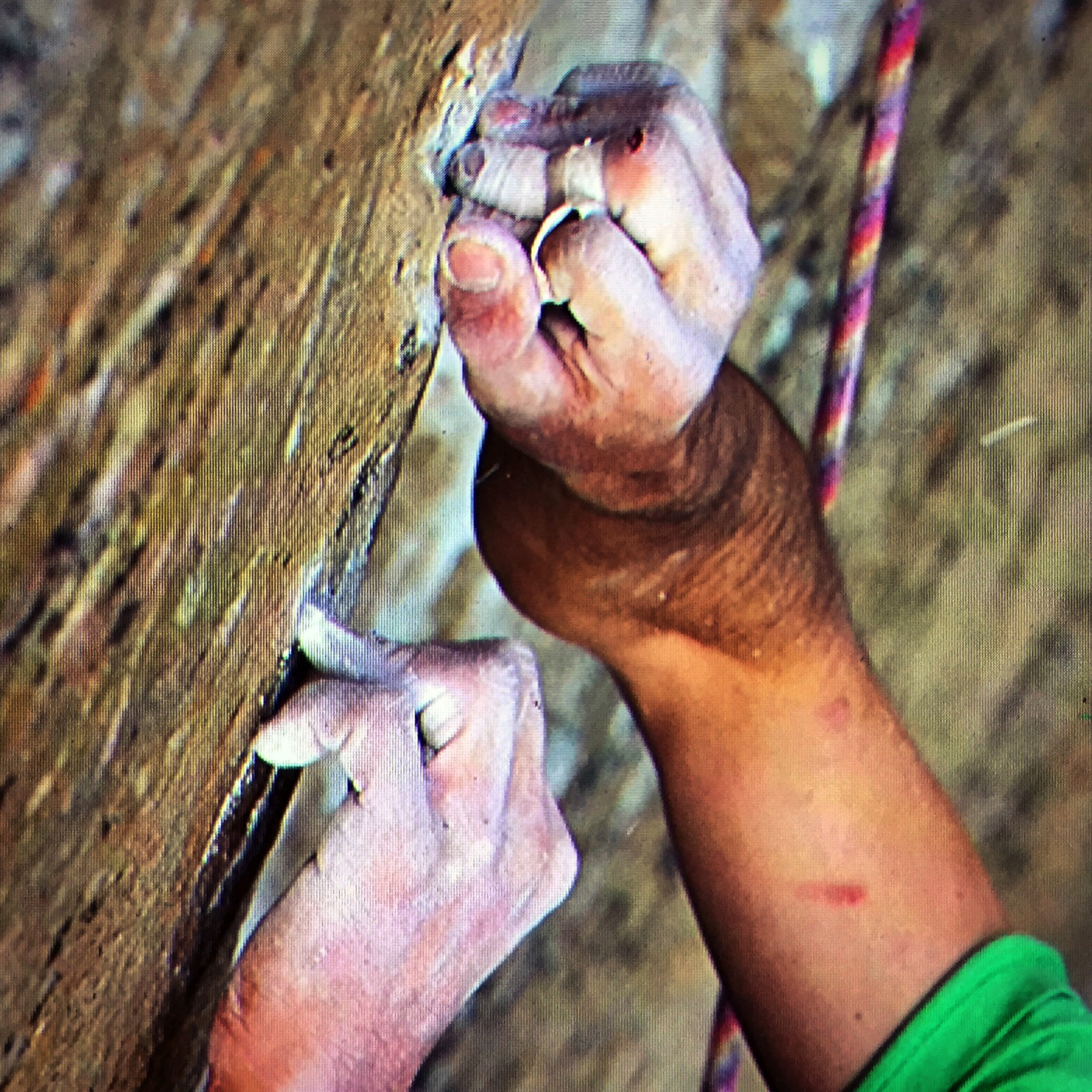 Pair attempts world's hardest climb up Yosemite's El Capitan