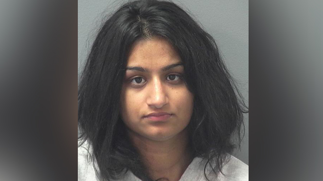 Suspected 'Bombshell Bandit' agrees to plea deal