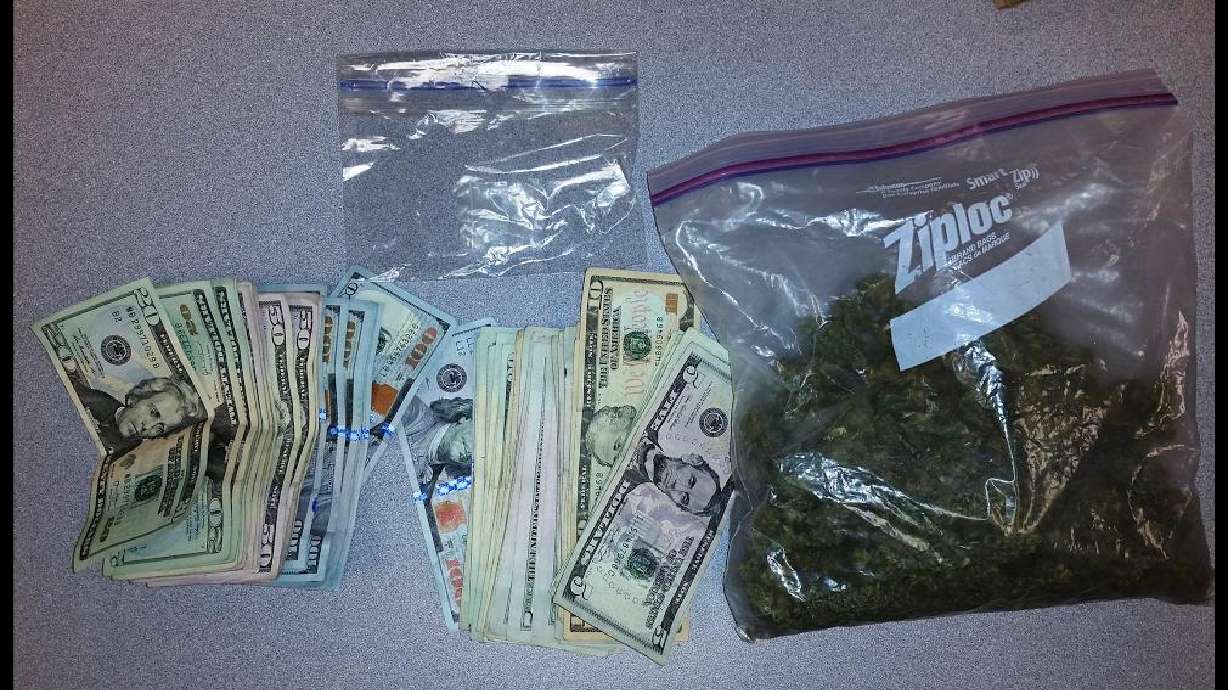 Deputy finds drugs, 2K in cash during traffic stop