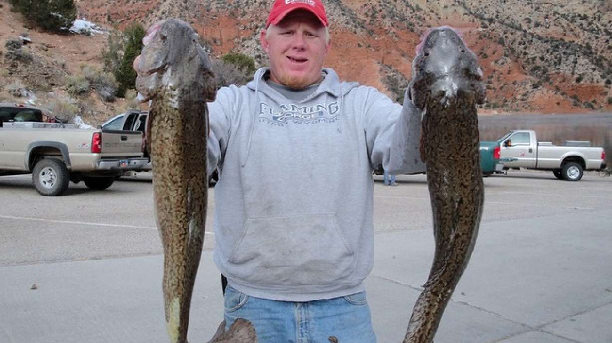 Catch unlimited fish, win prizes at 2 tournaments