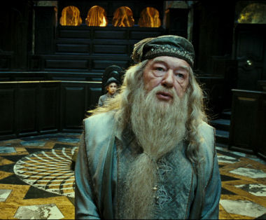 ALBUS DUMBLEDORE IS A GAY WIZARD