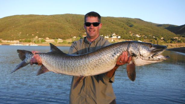 Get 5 Biggest Game Fish Caught In Utah Ksl Com For iPhone Free Get Wallpaper 5 Biggest Game Fish Caught In Utah Ksl Com Desktop Wallpaper Free