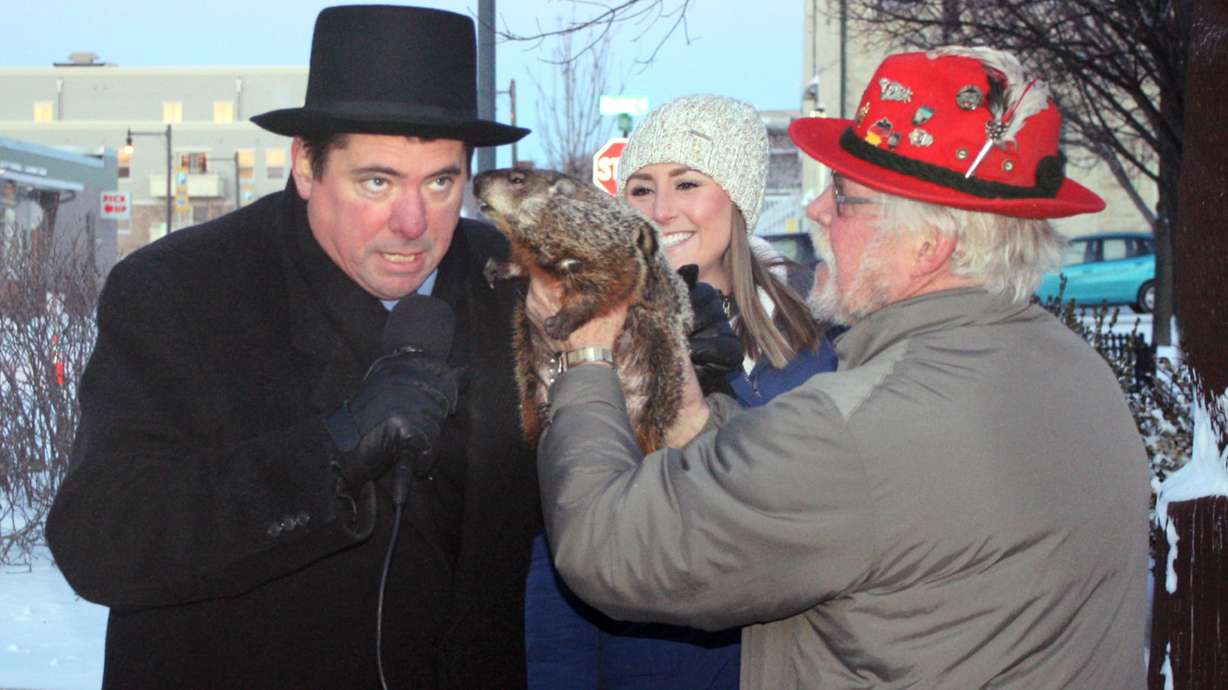 Groundhog bites Wisconsin mayor's ear during ceremony
