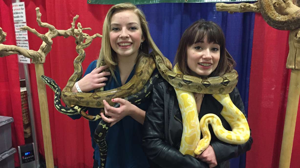 PHOTOS: 2015 Salt Lake Comic Con FanX