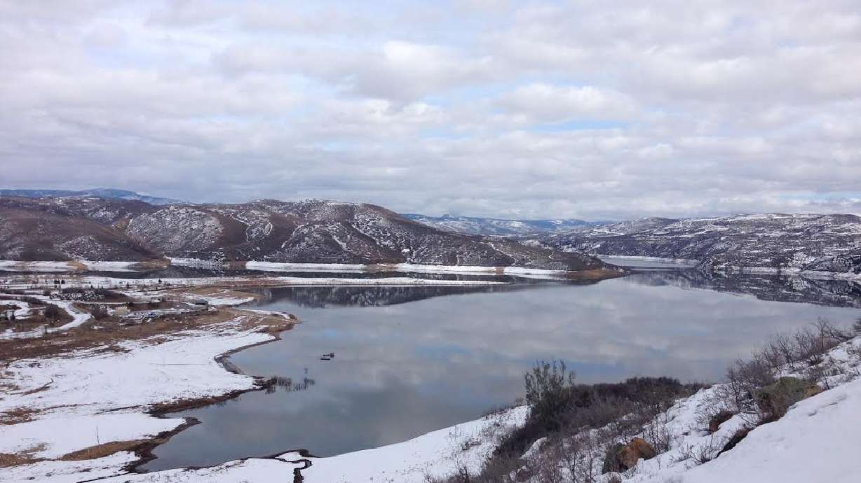 Prizes available for catching tagged fish in 4 reservoirs