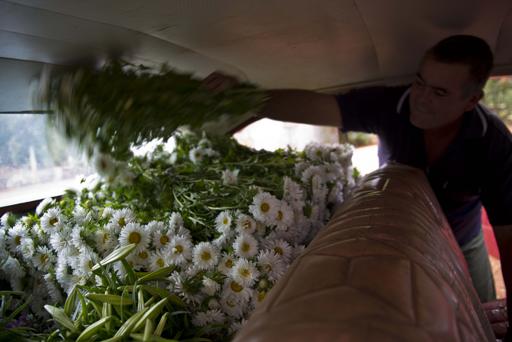 Madre cubana se convierte en empresaria de flores