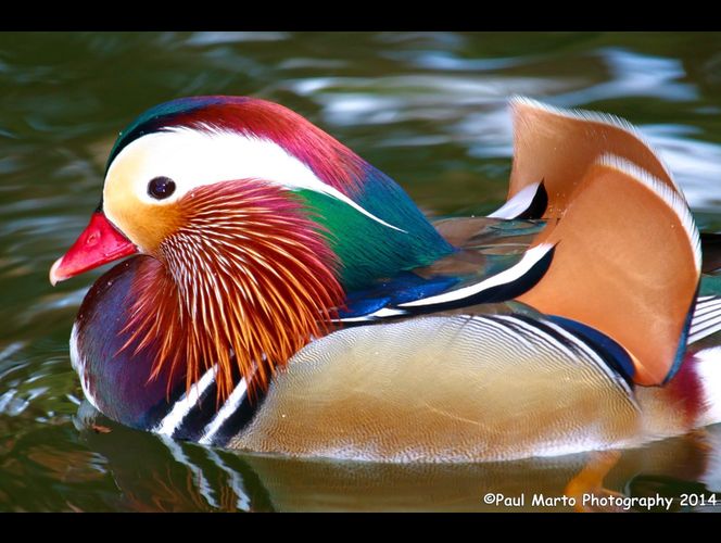 Fotógrafo de West Jordan gana reconocimiento por fotos de nubes arco iris y otra increíbles imagines 