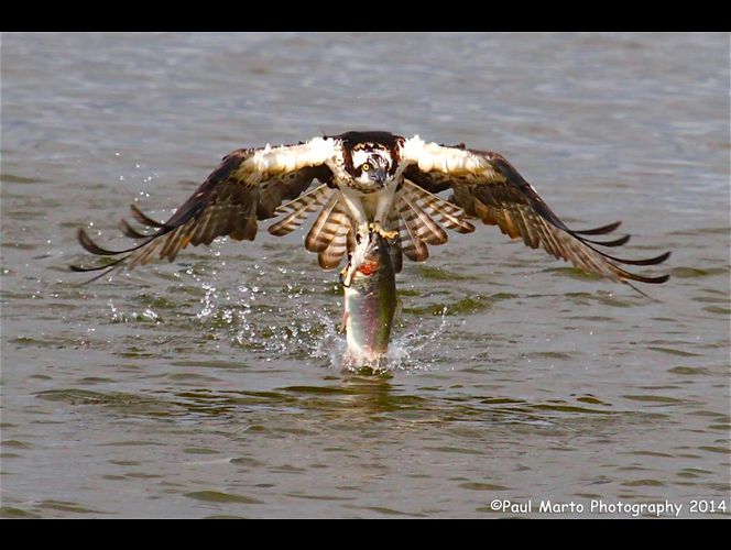 Fotógrafo de West Jordan gana reconocimiento por fotos de nubes arco iris y otra increíbles imagines 