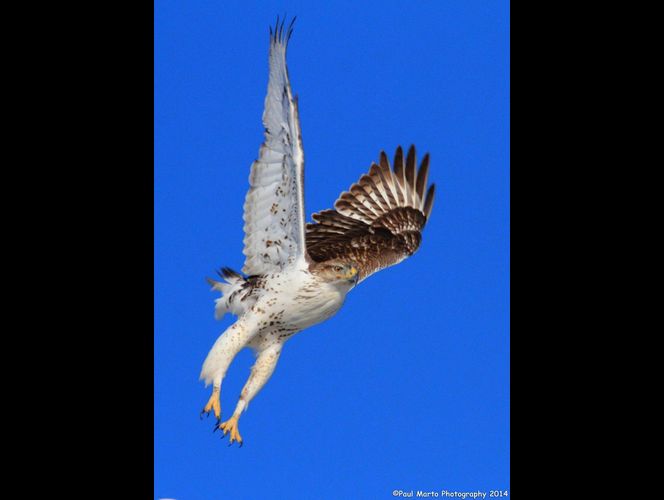Fotógrafo de West Jordan gana reconocimiento por fotos de nubes arco iris y otra increíbles imagines 