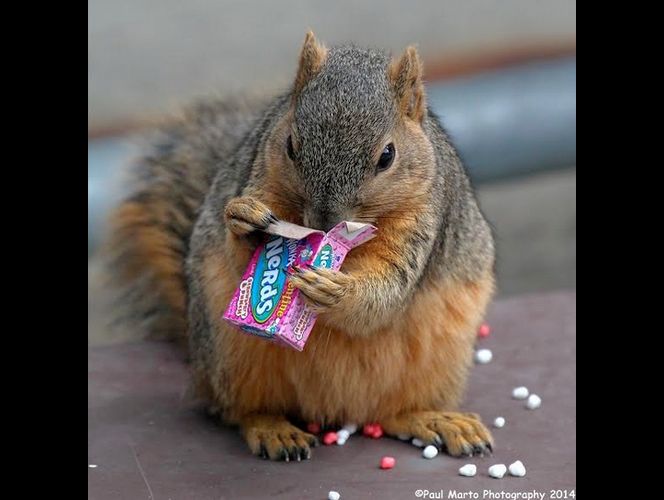 Fotógrafo de West Jordan gana reconocimiento por fotos de nubes arco iris y otra increíbles imagines 