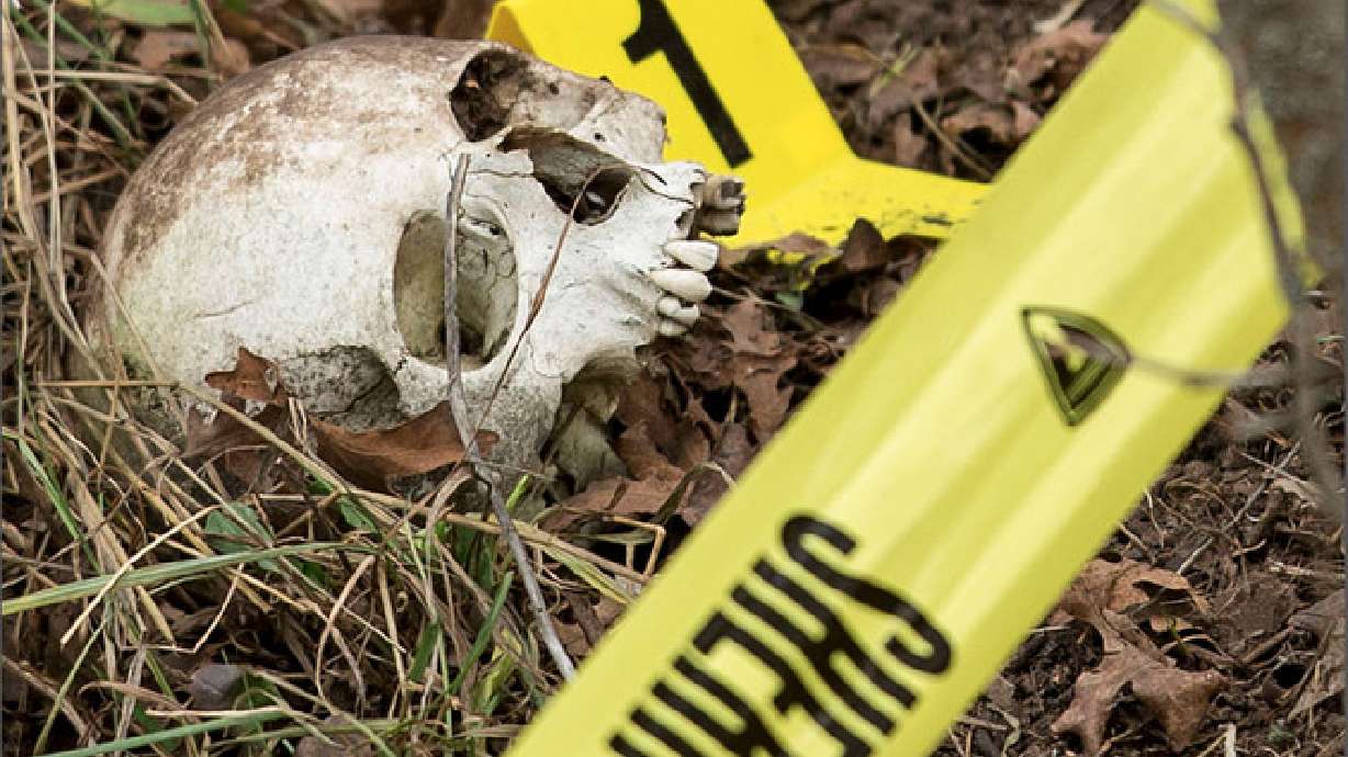 Siguen las investigaciones luego de haber encontrado restos humanos en un área de UT