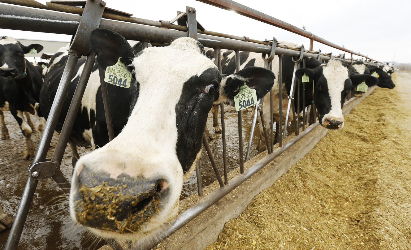 Lawmakers grapple with raw milk regulations, public health concerns