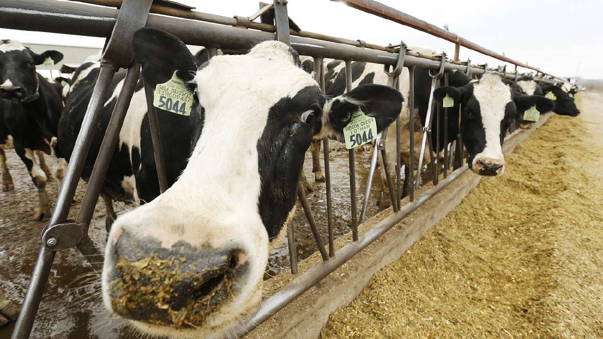 Lawmakers grapple with raw milk regulations, public health concerns
