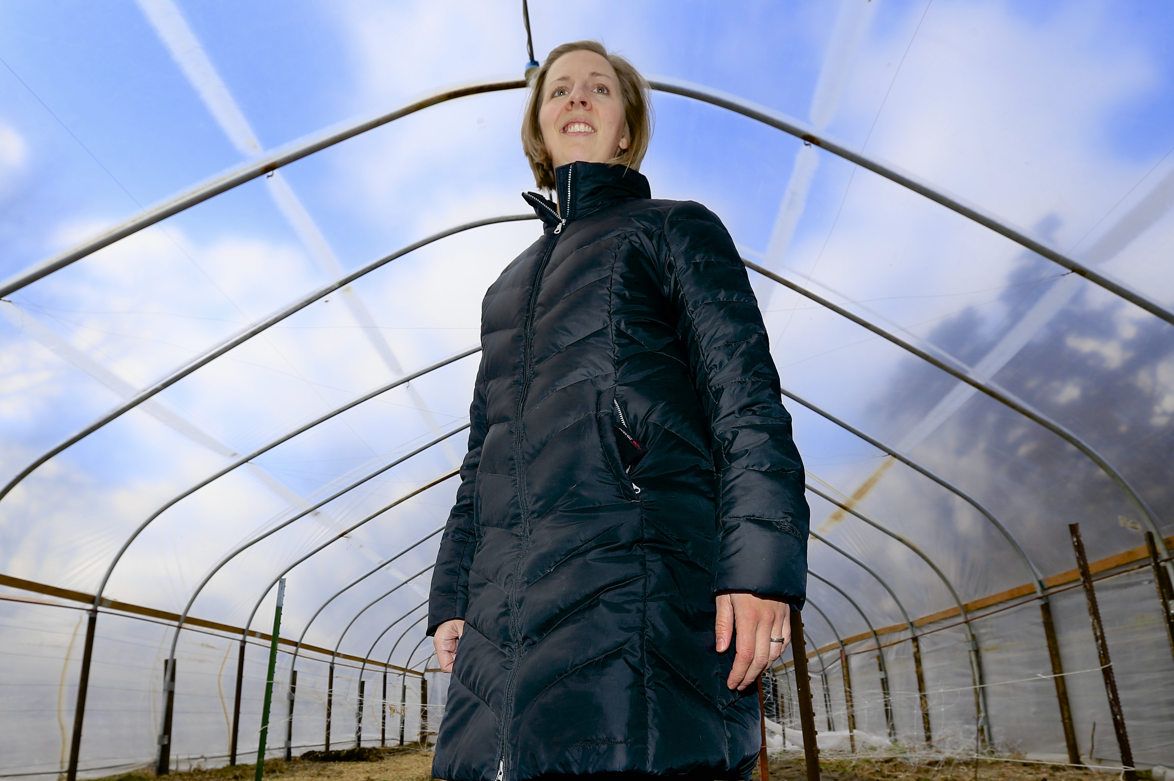 'Slow Flowers' movement pushes local, US-grown cut flowers