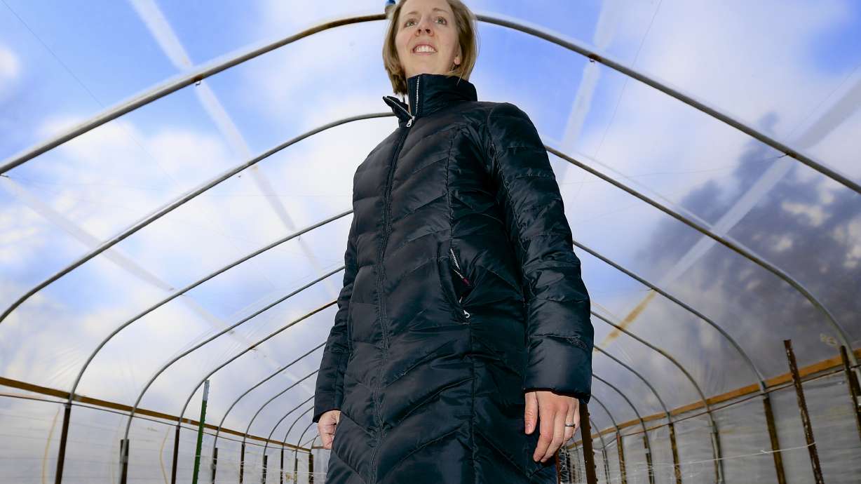 'Slow Flowers' movement pushes local, US-grown cut flowers