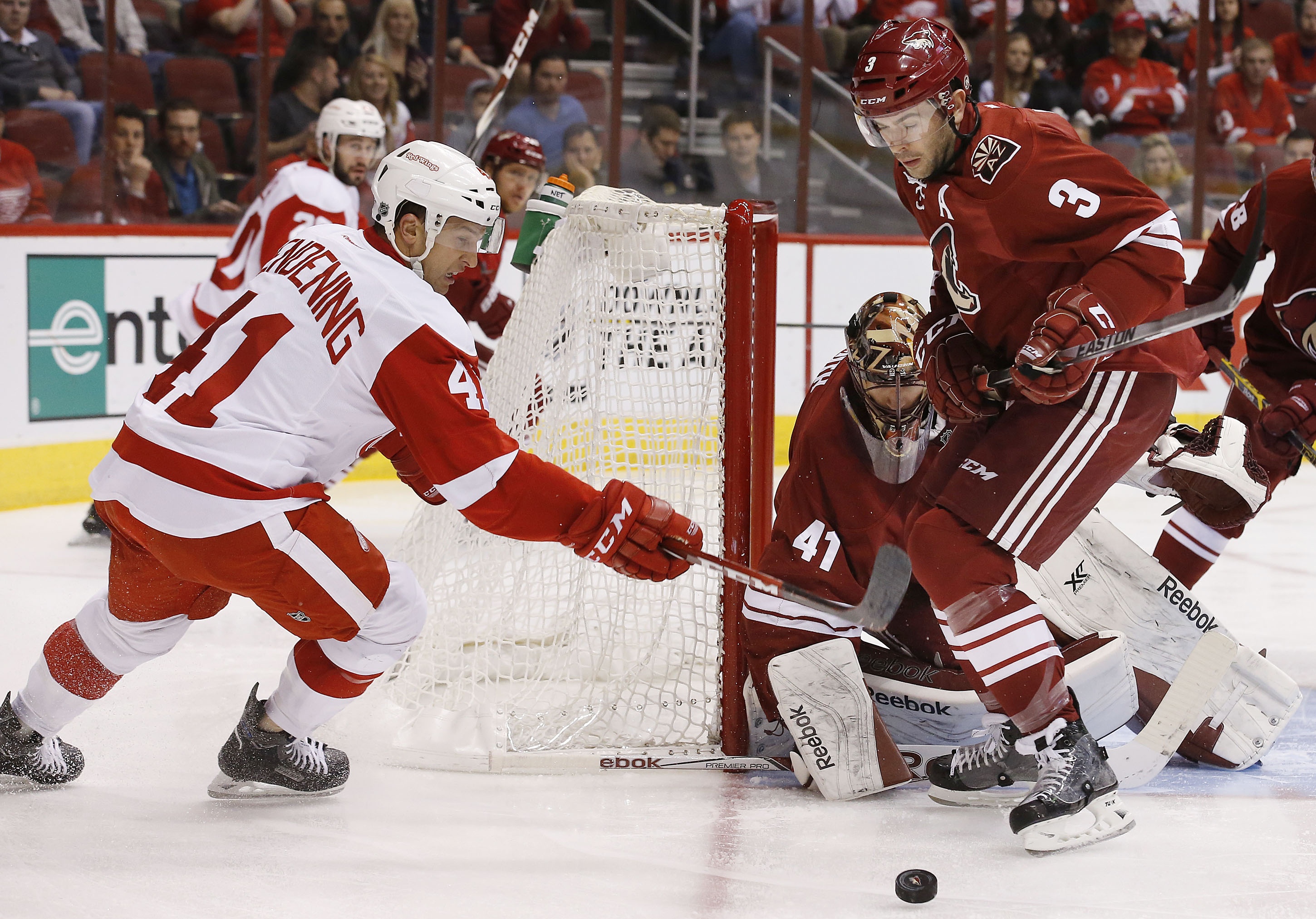 Mrazek shines, Red Wings beat Coyotes 3-1