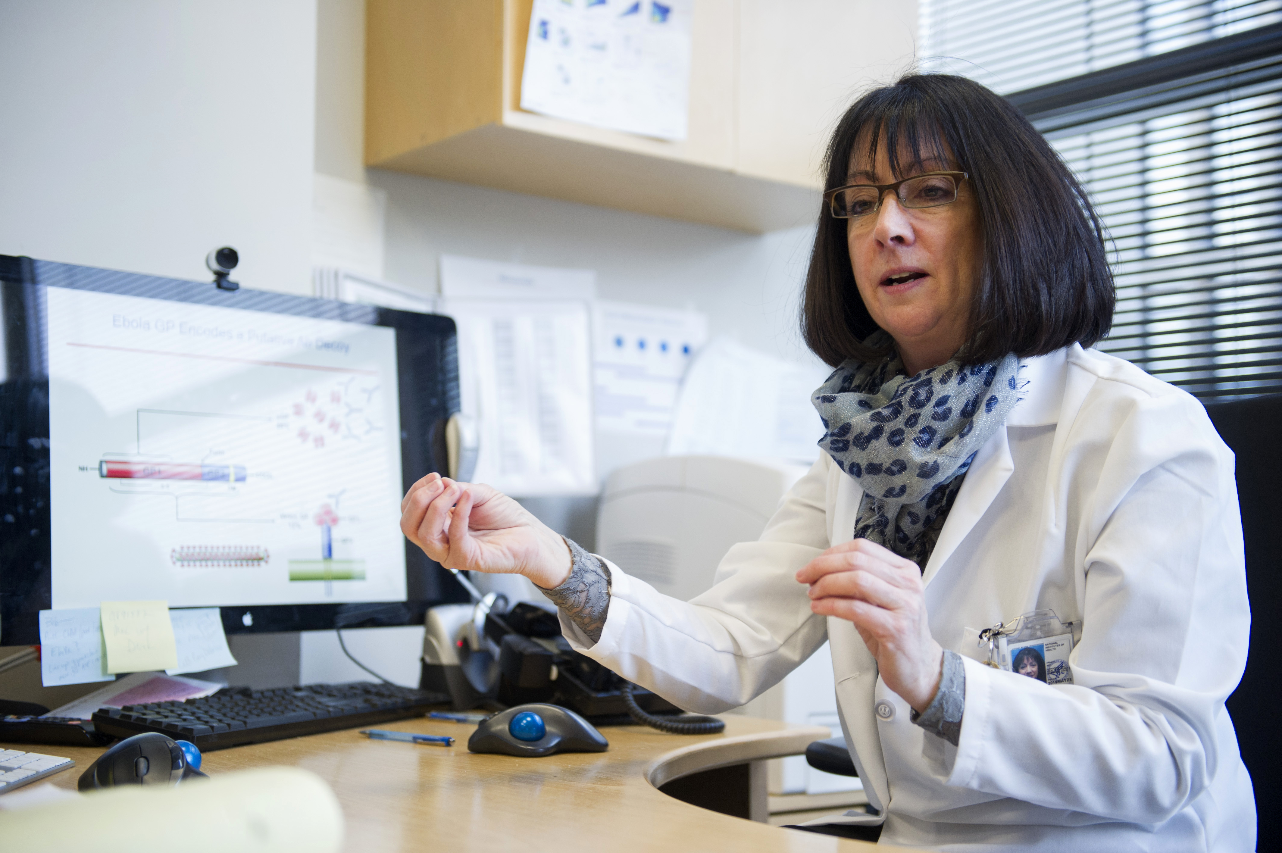 Persevering past roadblocks to build promising Ebola vaccine