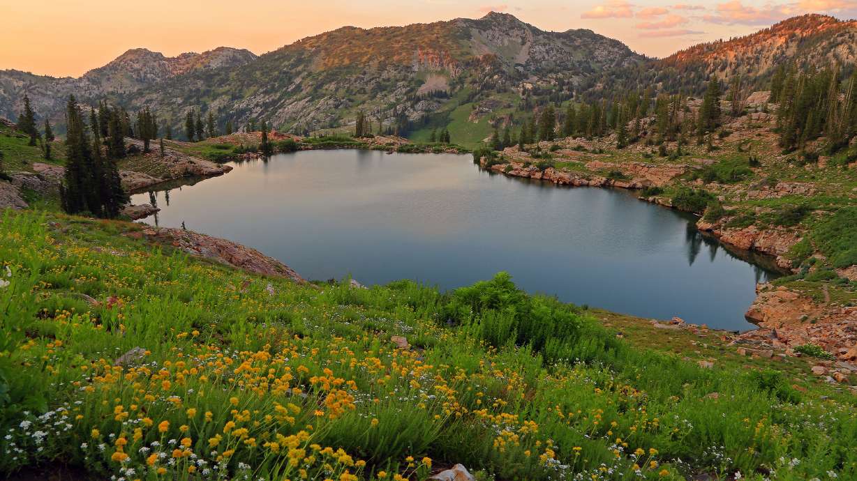 Have beautiful nature photos? Compete to display them