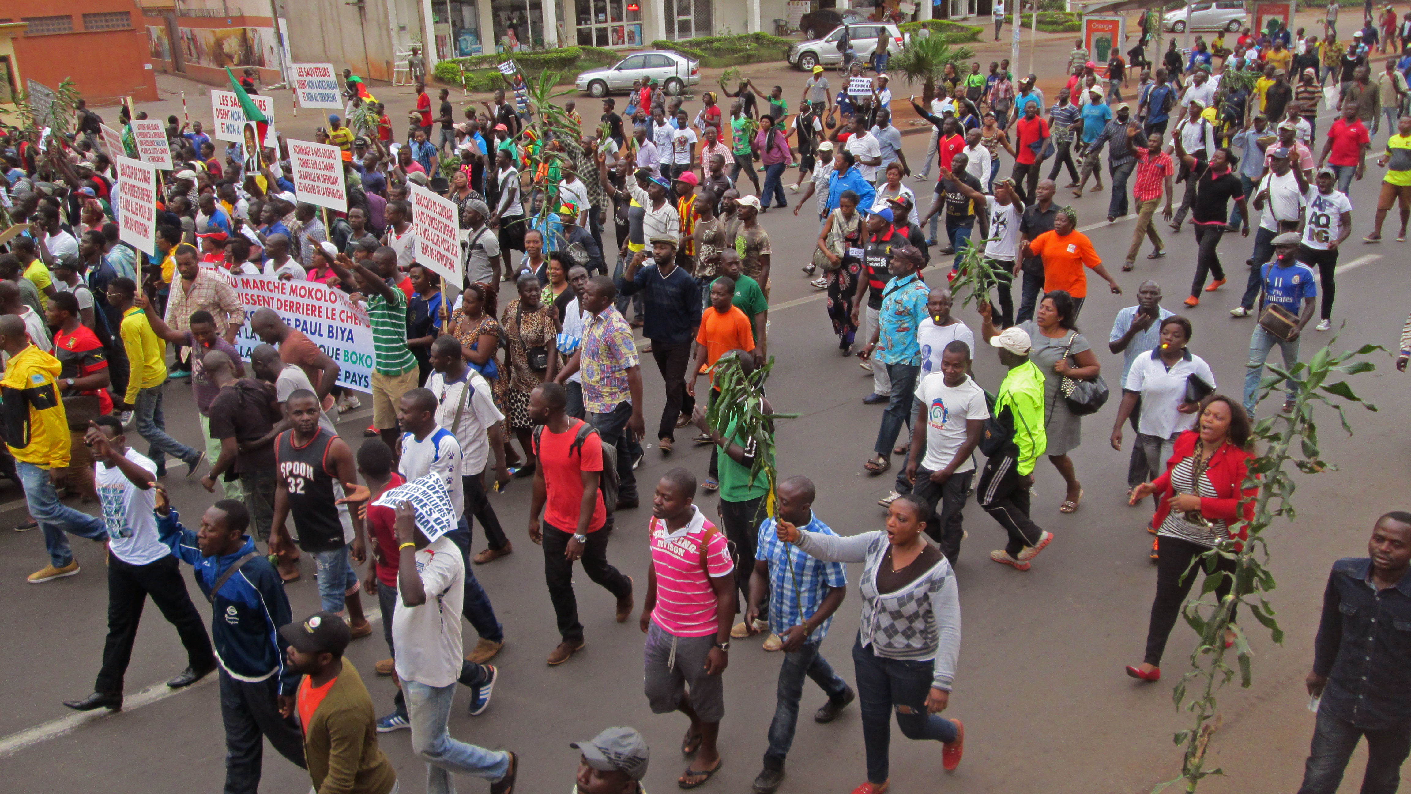 Boko Haram abducts 30 people in Cameroon, Nigeria