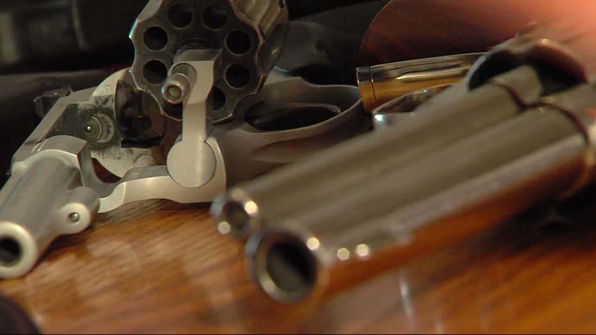 'Common sense' constitutional carry gun bill on hold