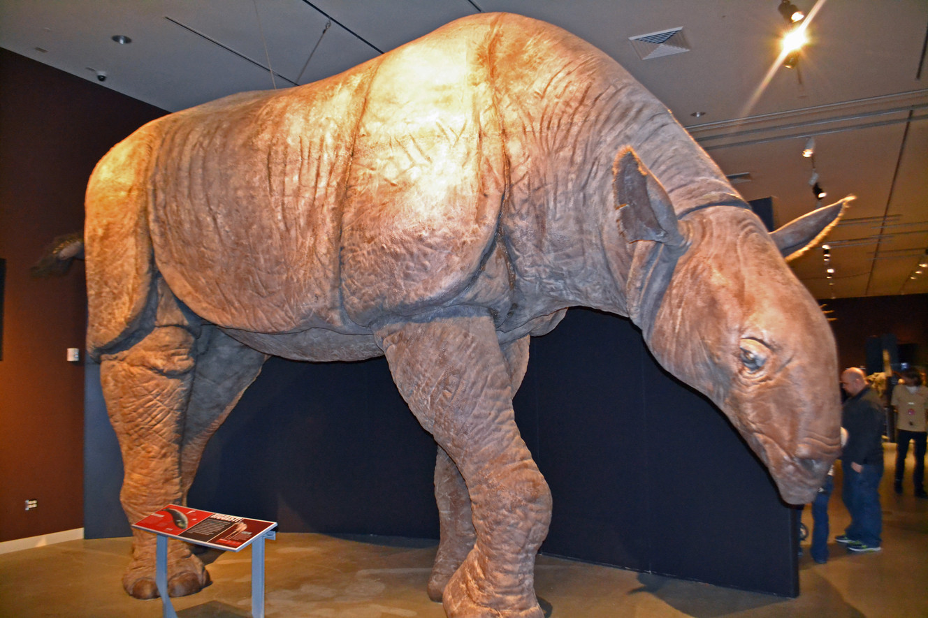 Extreme Mammals exhibit opens at Natural History Museum of Utah