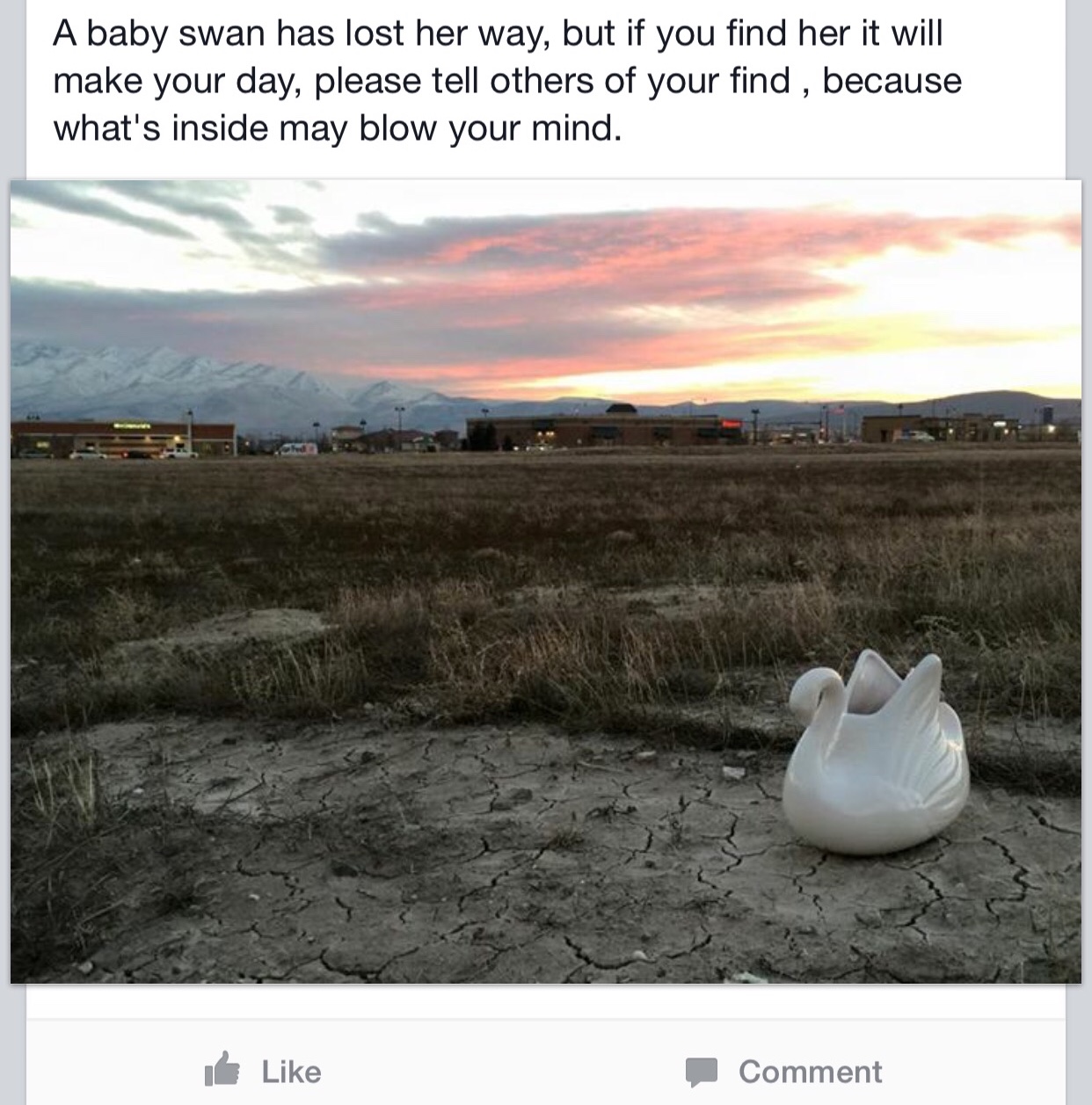 3 brothers start massive scavenger hunt using ceramic swans