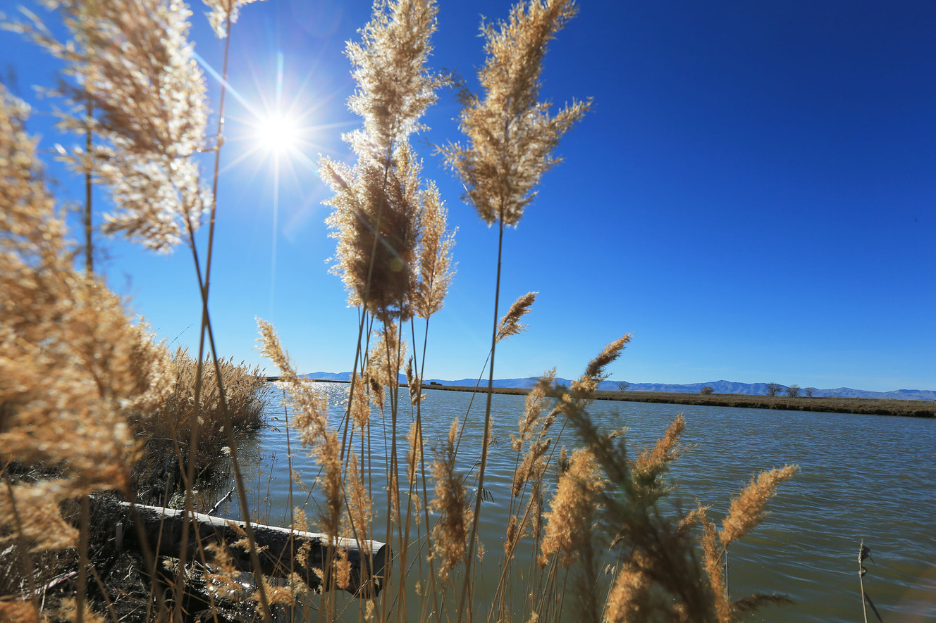 Study charts 1,200-year history of Bear River