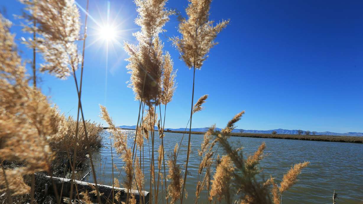 Study charts 1,200-year history of Bear River
