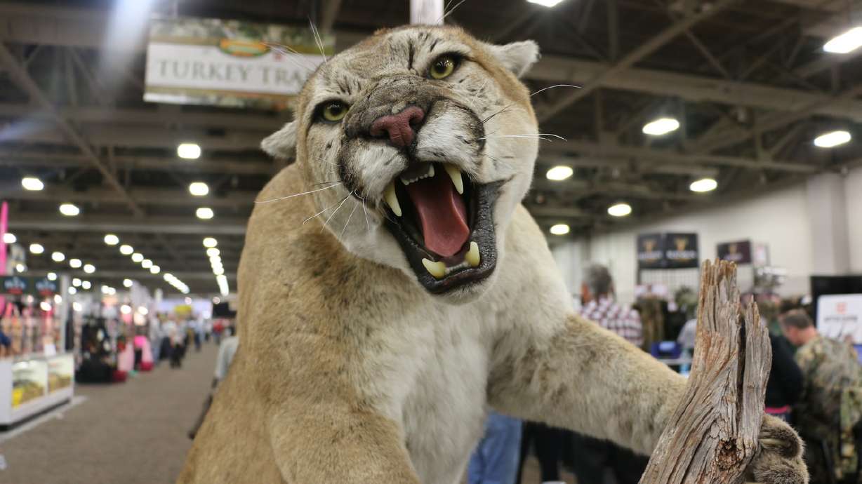 Photos: Western Hunting & Conservation Expo
