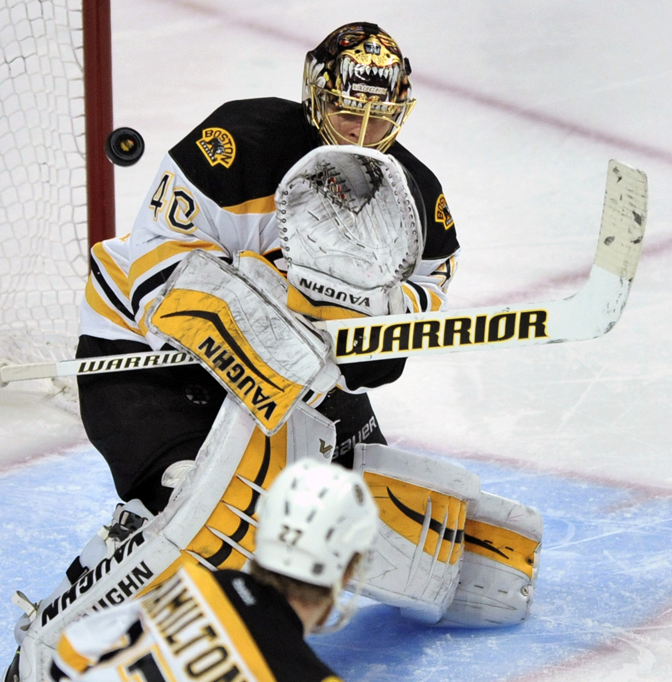 Newly discovered wasp named after Boston Bruins goalie Rask