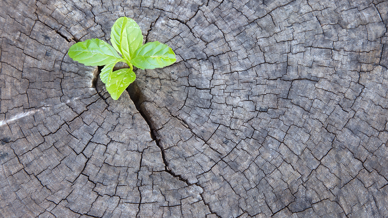 26 years sober thanks to an officer