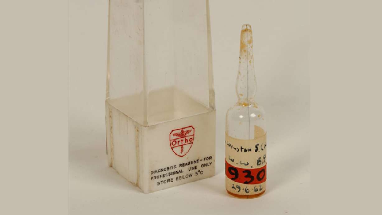 Winston Churchill's blood to be auctioned