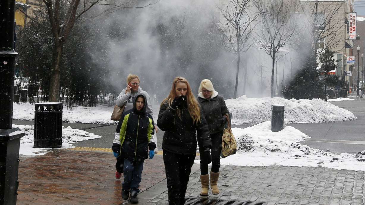 Fog machine in art installation prompts false fire alarms