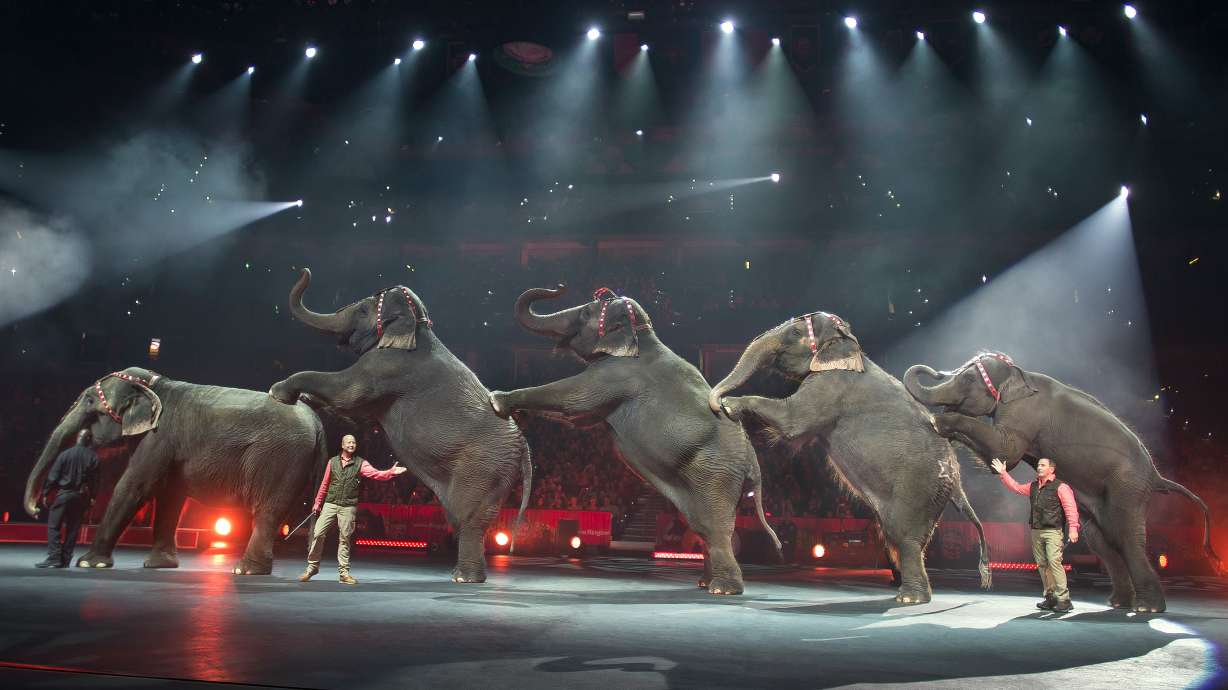 Ringling Bros. says circuses to be elephant-free in 3 years